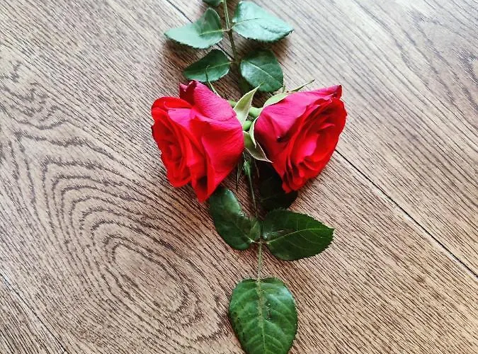 Bed & Breakfast Le Coccole